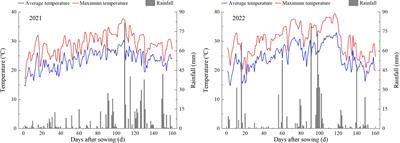 Evaluating rice lipid content, yield, and quality in response to nitrogen application rate and planting density